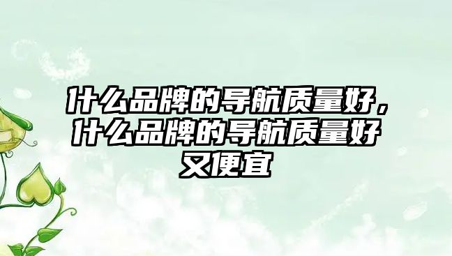 什么品牌的導航質量好，什么品牌的導航質量好又便宜